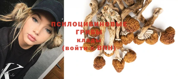 хмурый Абинск