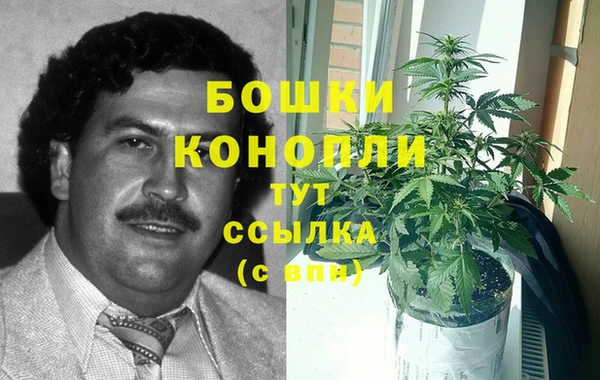 СК Арсеньев